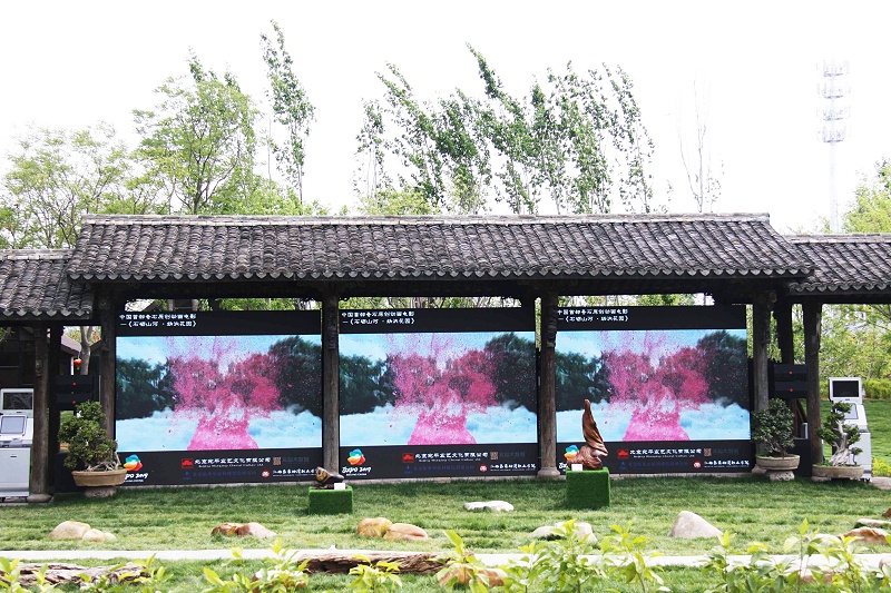 流动演出中油条视频APP网站直接看系统的使用