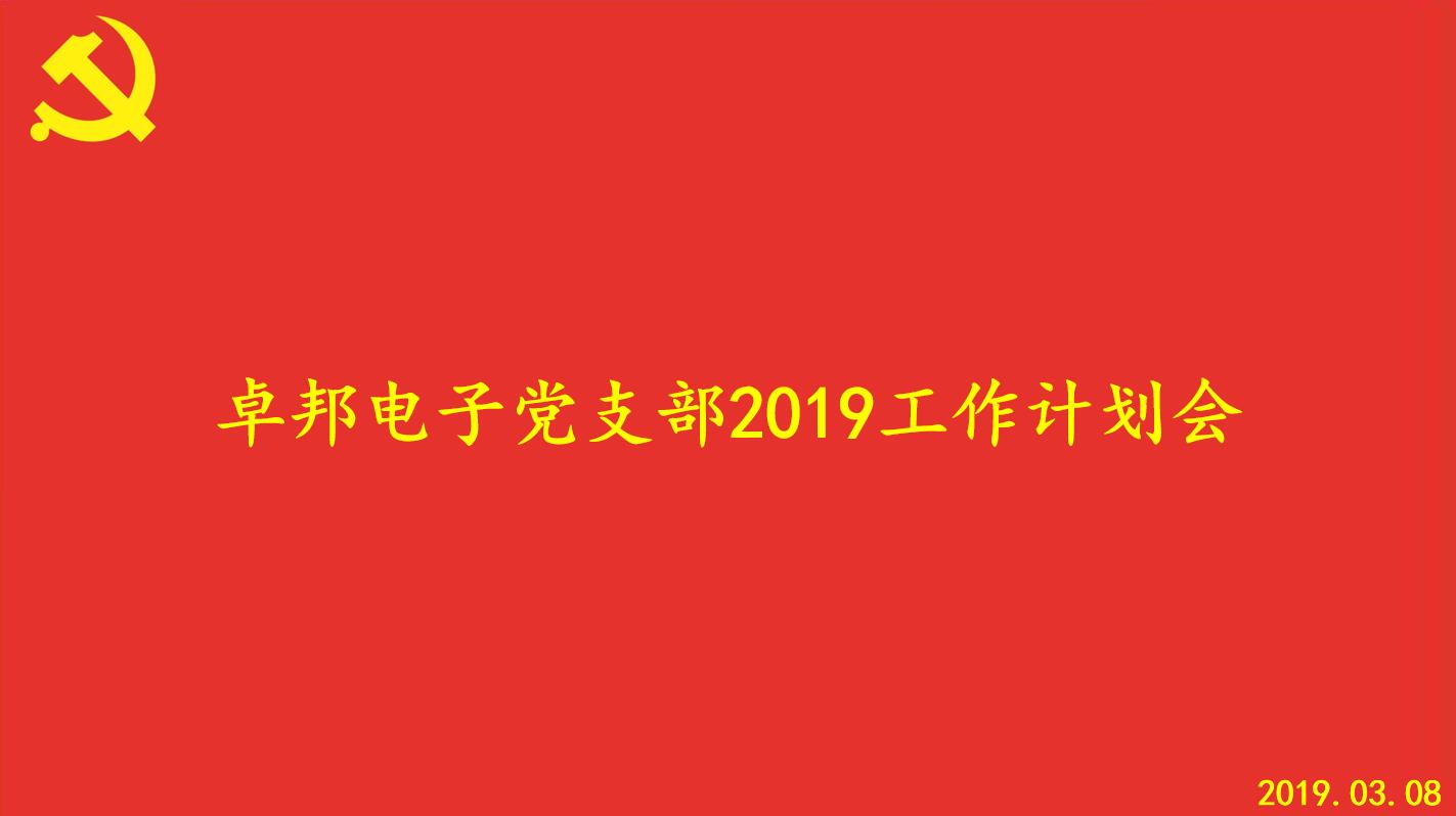油条视频黄片电子党支部2019工作计划会顺利召开