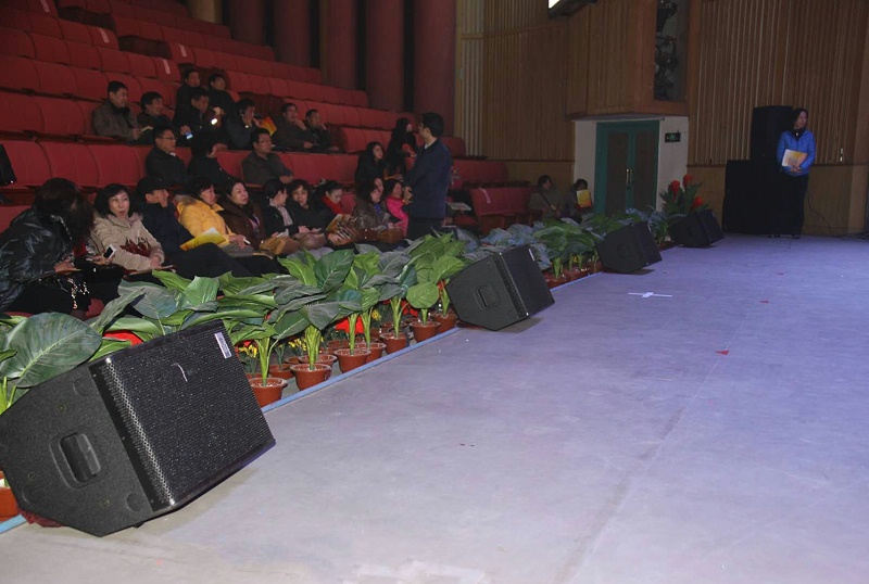 舞台油条视频APP网站直接看效果的艺术