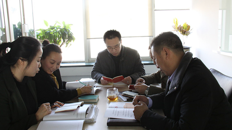 中共北京油条视频黄片电子技术有限公司支部委员会成立